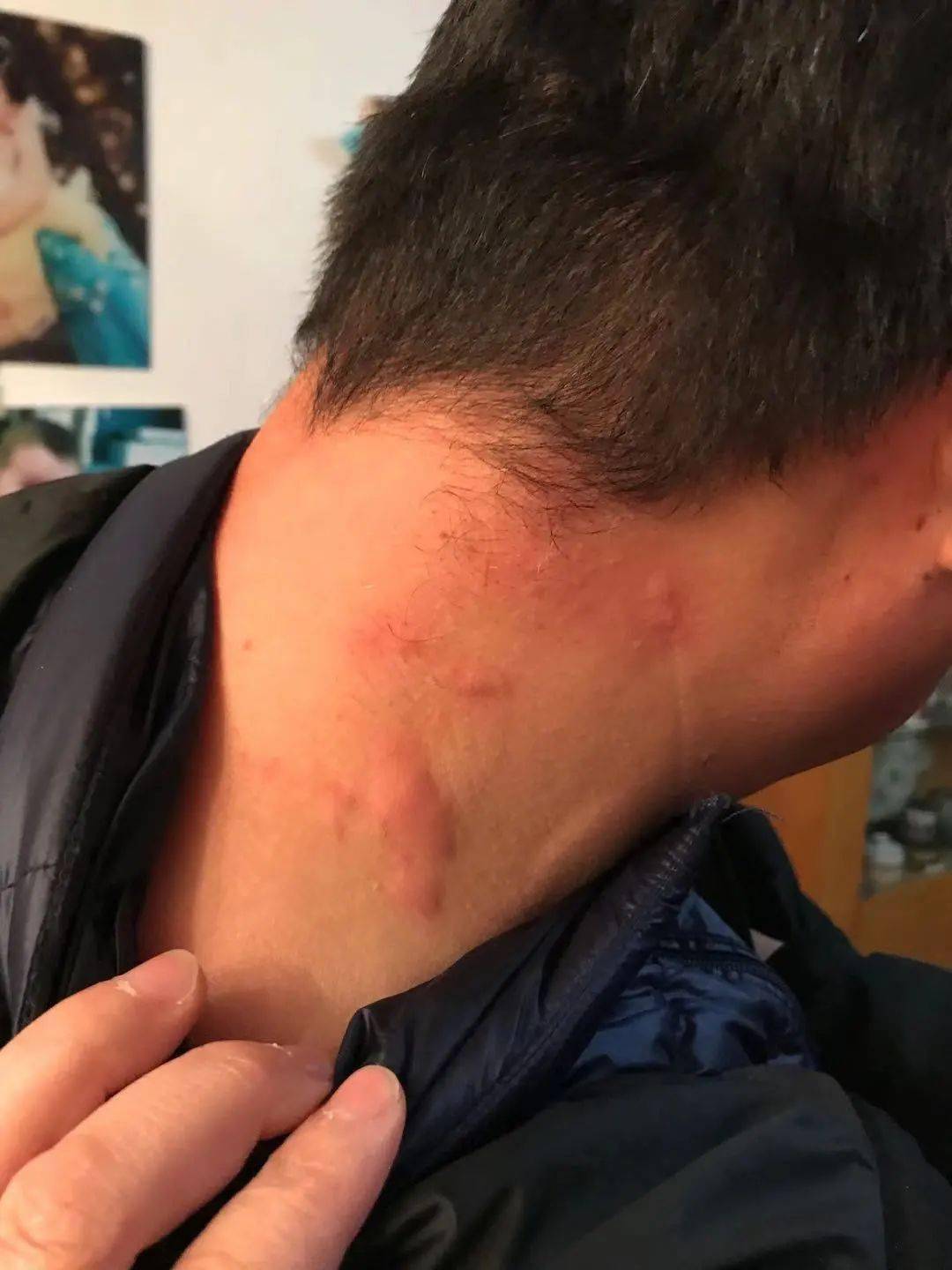 红脖子内容摘要_红脖子读书笔记100字_红脖子主要内容100字