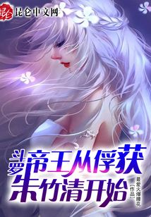 女总裁叶天，绝世高手！