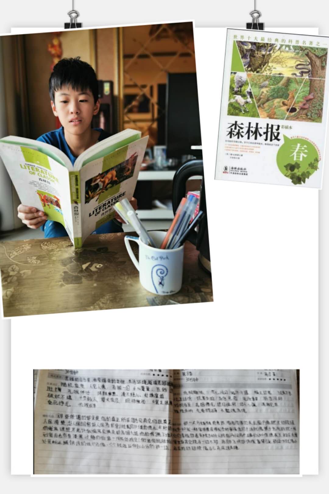 宁神书卷120级能用么_龙将120级金将_神仙道120级伙伴后期