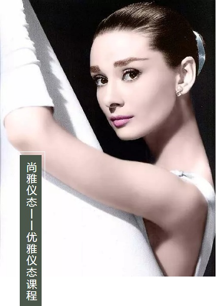 完美女人宝典现查现用，成为众人焦点！