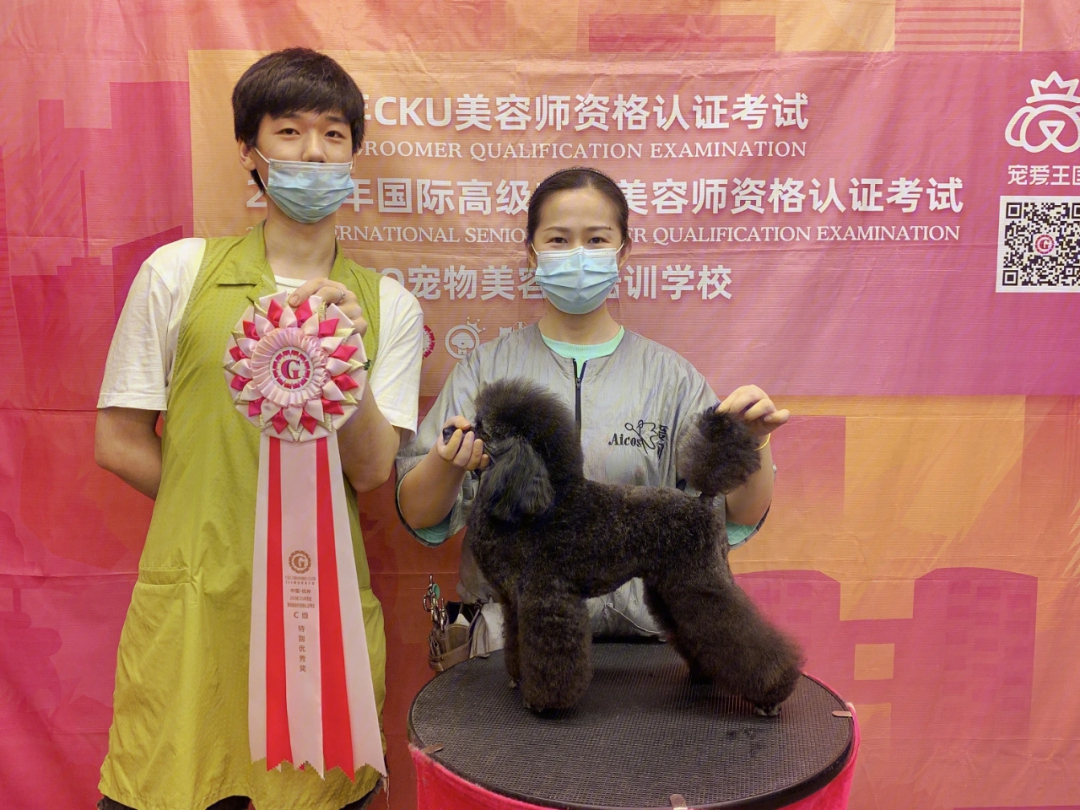 宠物美容师b级通过率_宠物美容师等级_宠物美容师c级浪费钱