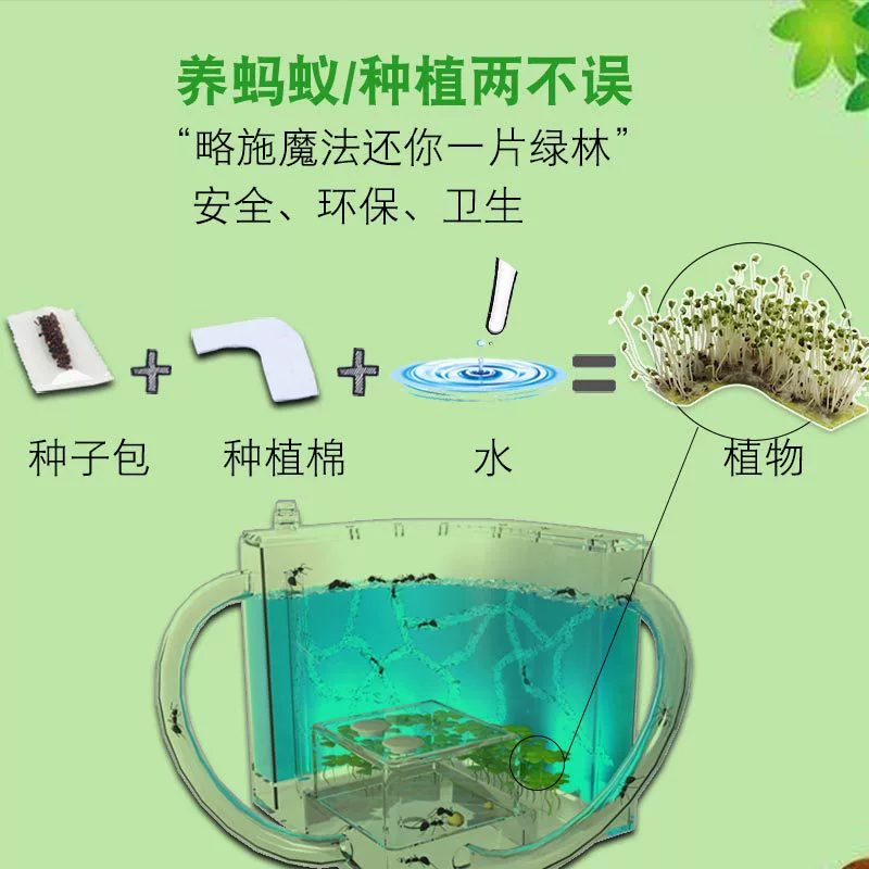 蚂蚁庄园含有_蚂蚁庄园含盐量_蚂蚁庄园有哪些食物