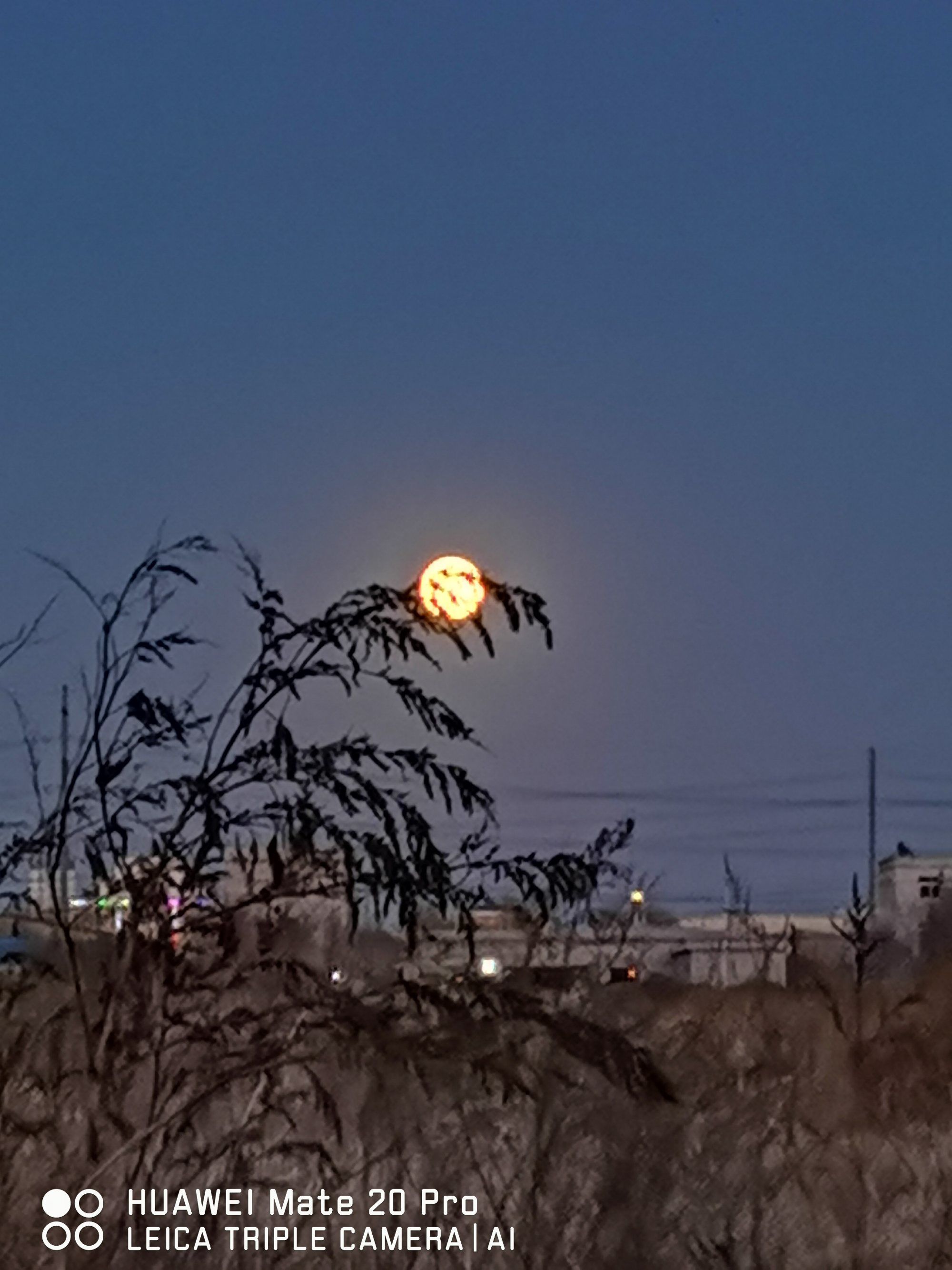 今夜月色如画，绝美展现眼前