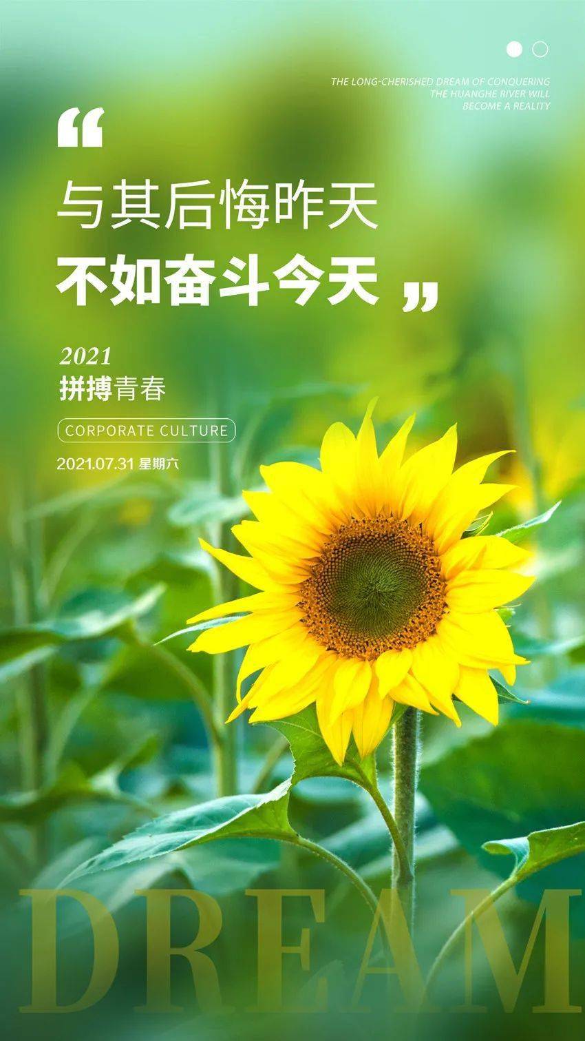 www日本tv视频百度视频_正能量视频的网站_网站正能量www正能量视频