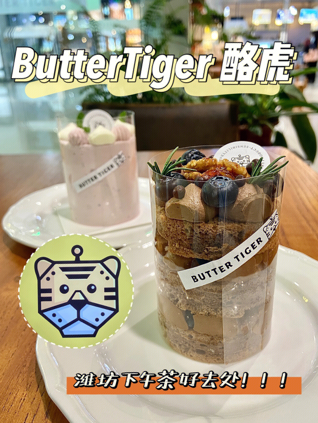 夏日骚虎入口，潮流引领