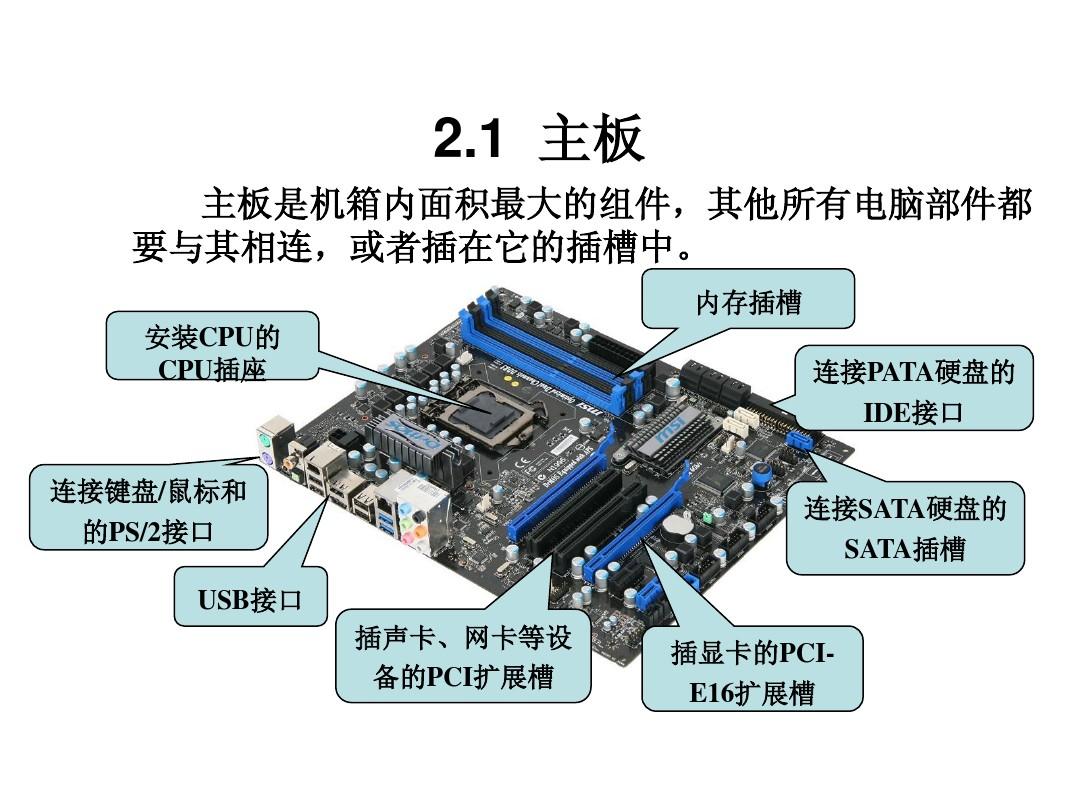 云骑士大师亮相滨海国际电影节