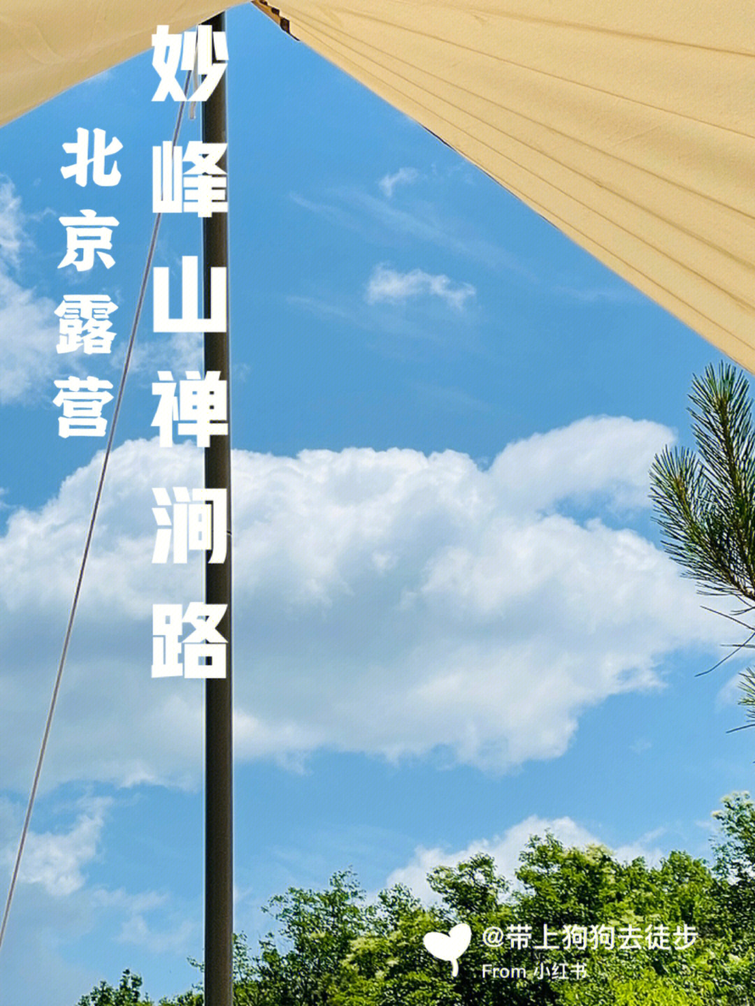 我是独特的创造者，打造出箱庭小偶 - 一个属于自己的奇幻世界