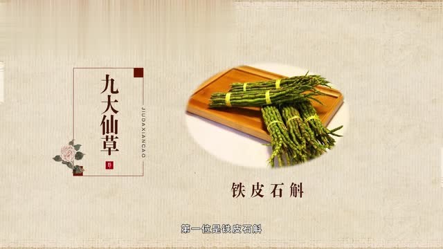 琼华仙录_琼华仙子喜欢王路吗_琼华仙玑