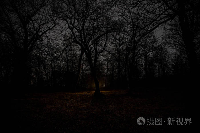 暗影大师_暗影大师下载安装_暗影大师无限金币钻石免广告