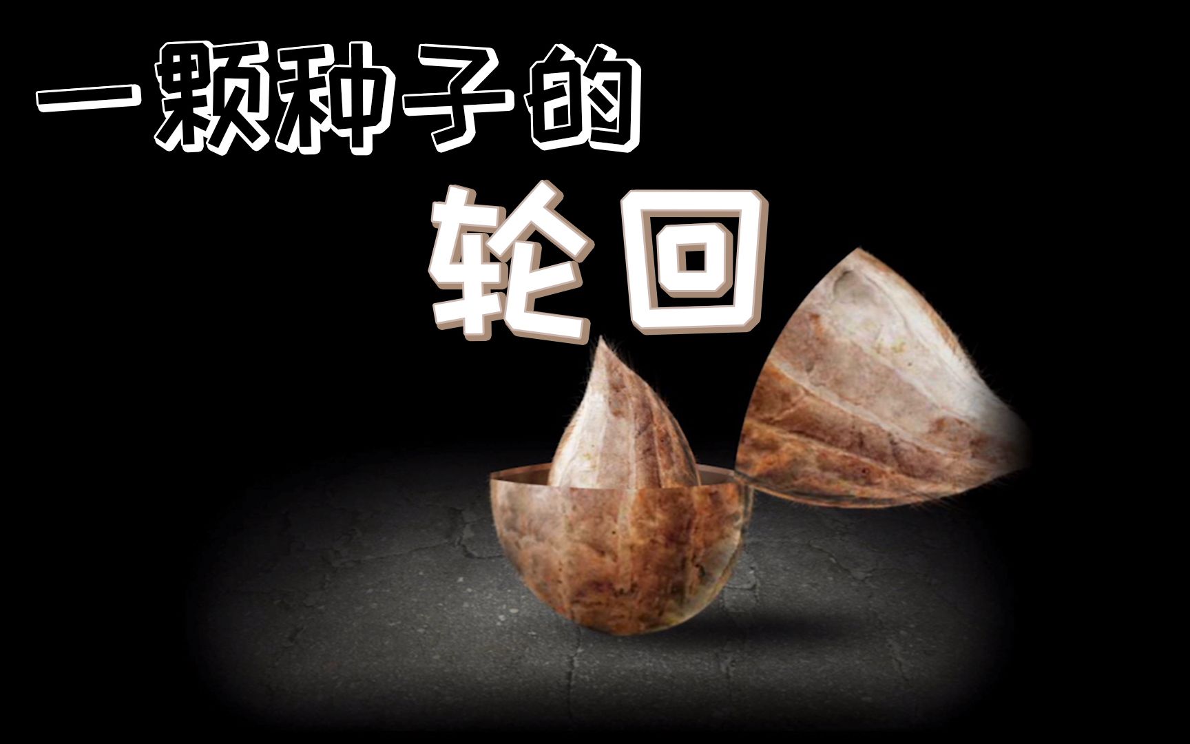 世界种子小说_我的世界极品种子_高品质种子