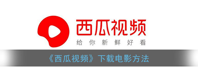 视频西瓜电视剧在哪里看_西瓜视频电视剧_播放西瓜视频电视剧