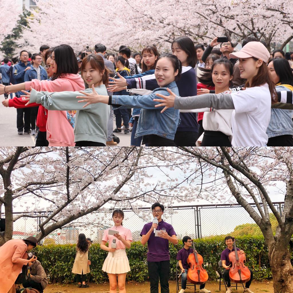 校园模拟器 · 樱花盛放！正版无广告中文版