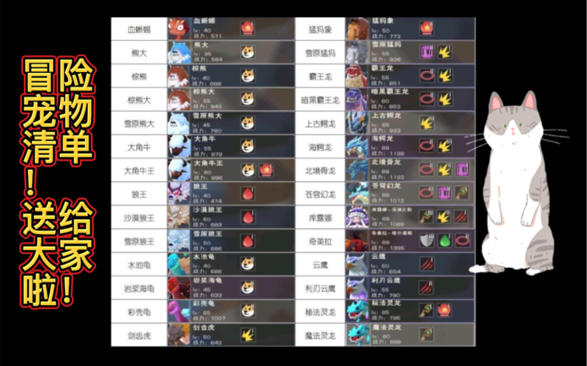 宠物龙猫多少钱一只_宠物龙_宠物龙猫图片