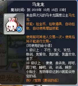宠物龙猫多少钱一只_宠物龙猫图片_宠物龙