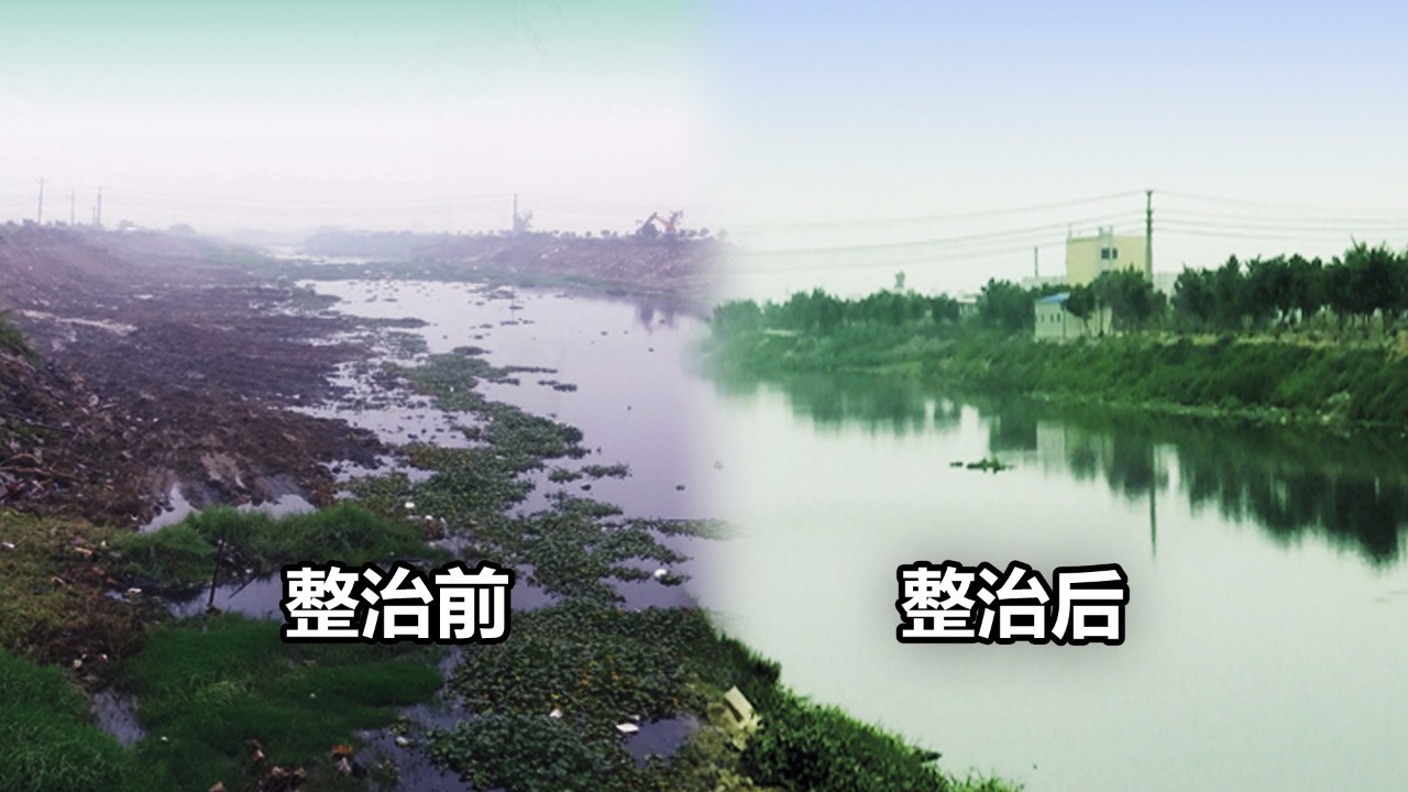 家庭毒瘴，你家是否中招？