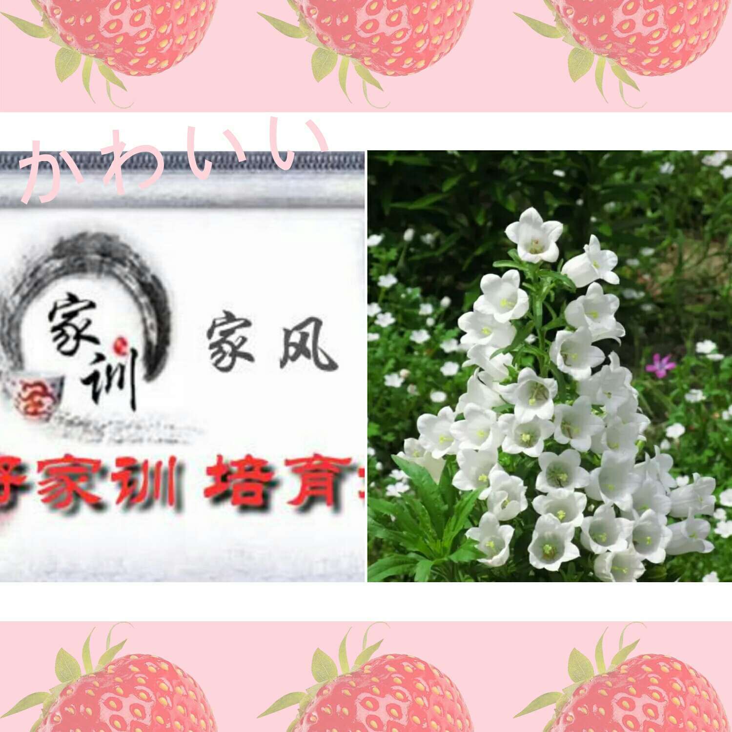 不良人温韬死了没有_不良人温韬叛变了吗_不良人温韬