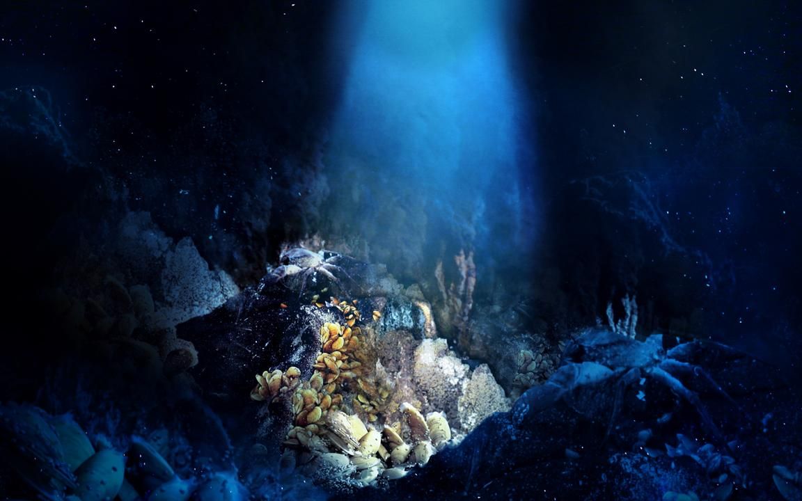 深海寻宝游戏下载手机版本_深海寻宝游戏怎么玩_深海寻宝全集