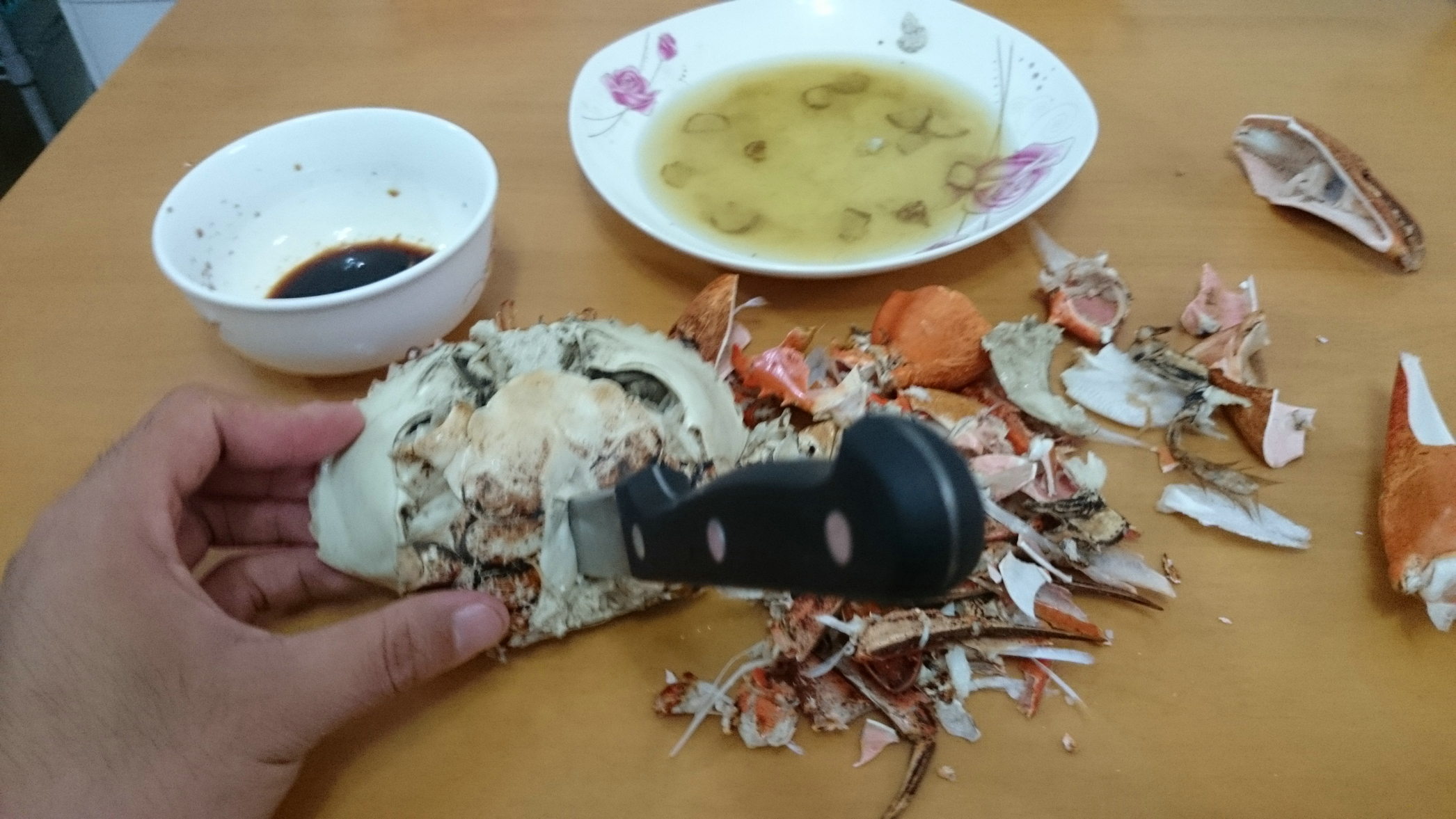 螃蟹的海底大猎杀_海底大猎杀螃蟹走不动路bug_海底抓螃蟹