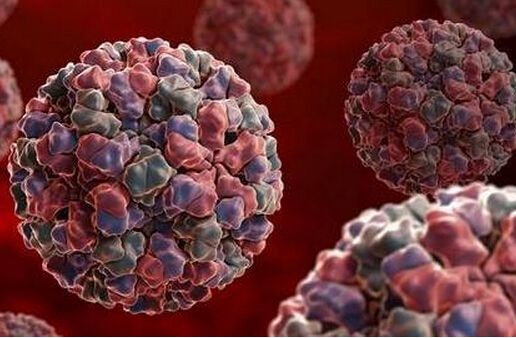 手机单机游戏生化_生化单机游戏大全_生化类游戏单机版