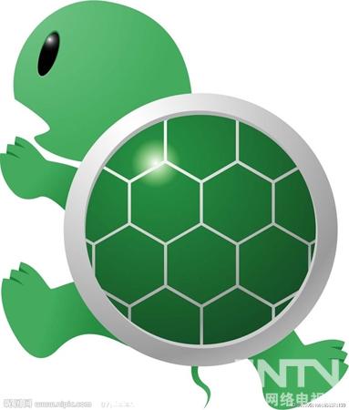 乌龟可以玩什么游戏_手机打乌龟游戏_打小乌龟的游戏