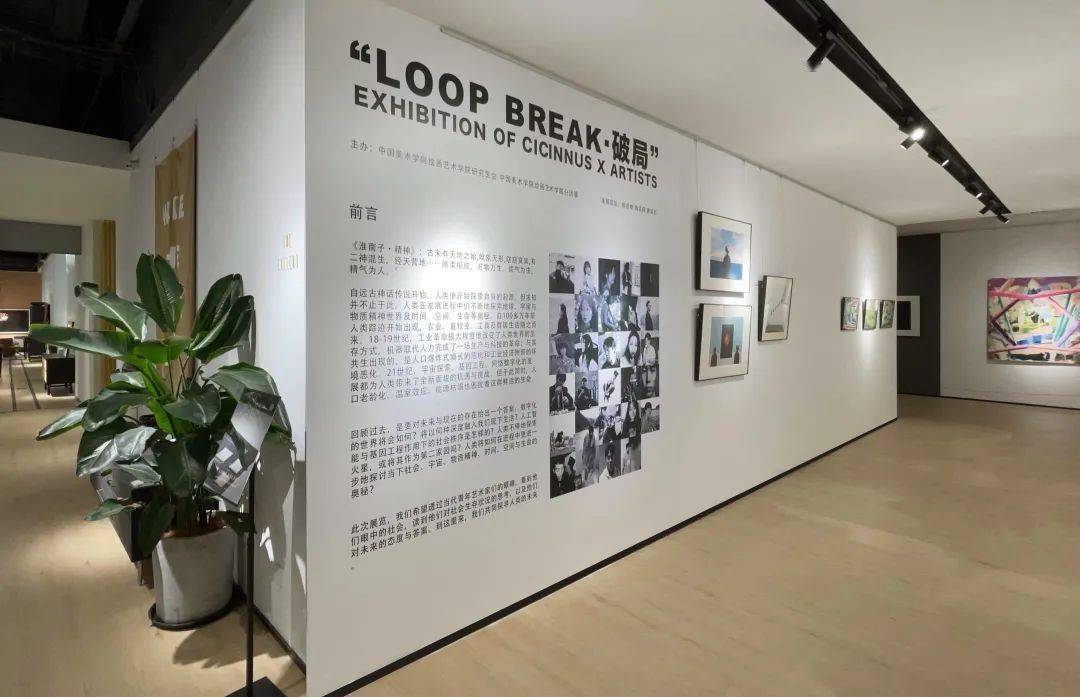 21艺术联盟 安迪_安迪儿艺术_安迪国际联盟论坛