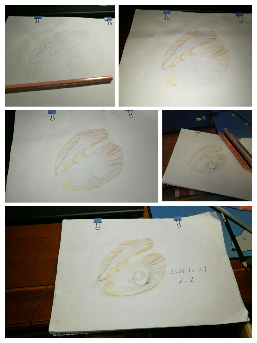 贝壳的简笔画怎么画-学会绘制贝壳的简笔画，准备这些工具和材料