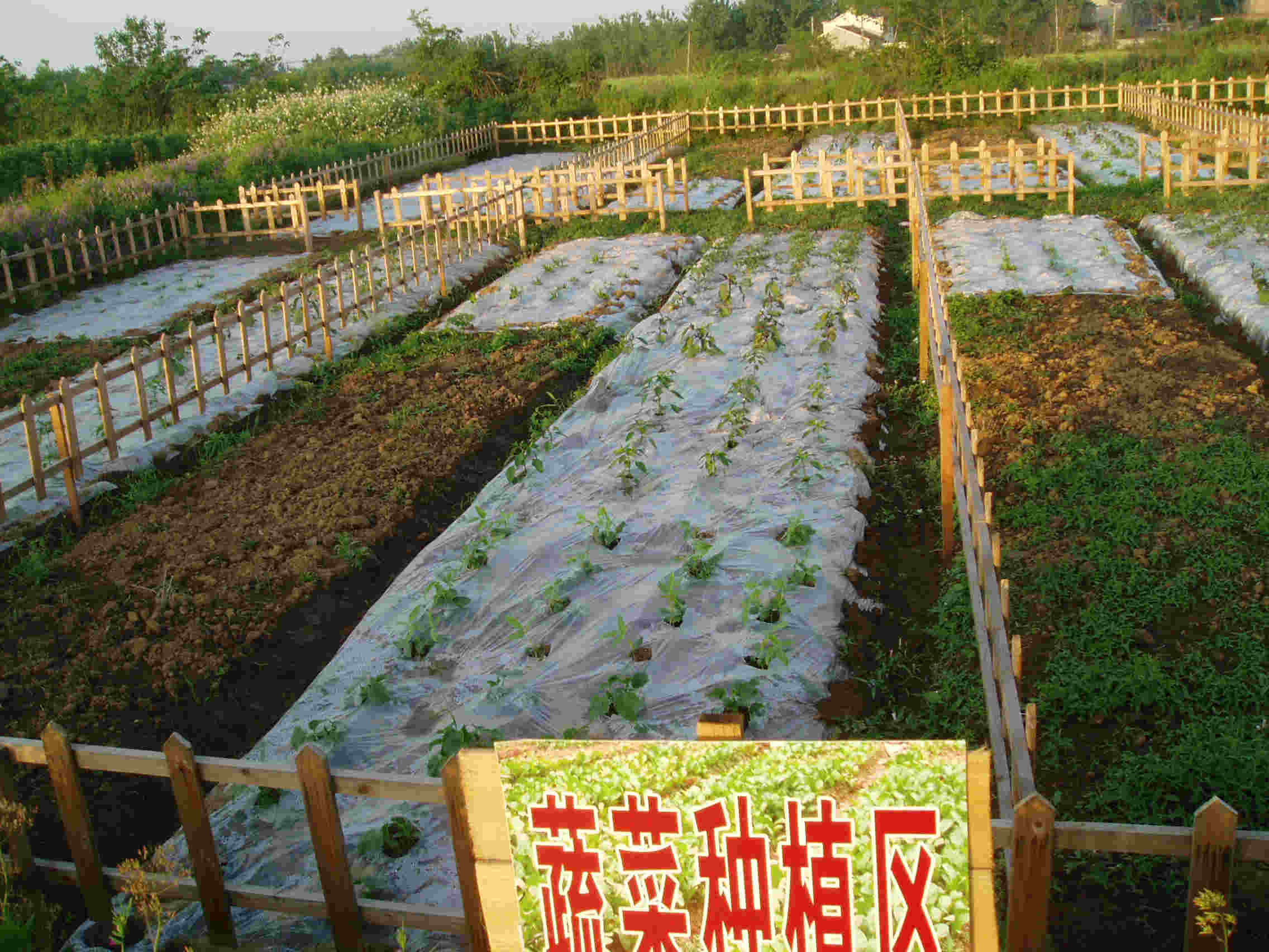qq农场触屏手机网页版登录-玩转QQ农场，体验农夫乐趣