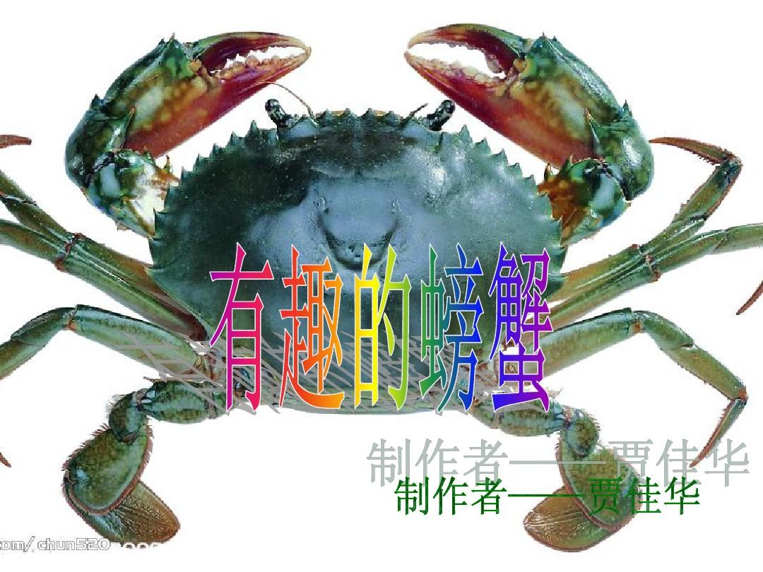 螃蟹模式_螃蟹模式在游戏中是什么意思啊_螃蟹模式汽车实际续航