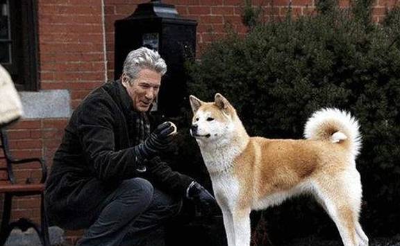 忠犬八公在线观看完整_忠犬八公在线看_忠犬八公官方免费观看