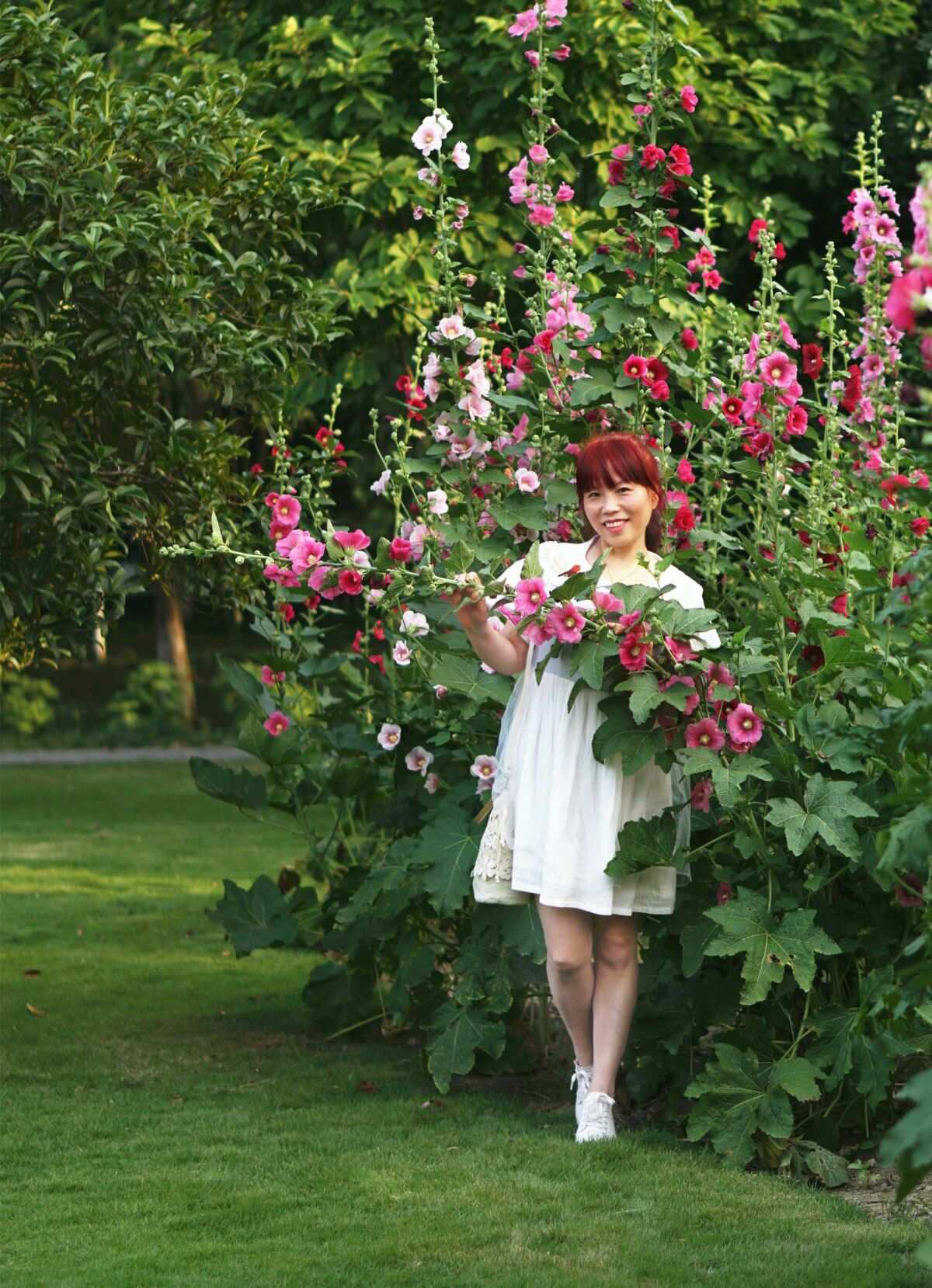 手抄报花藤简笔画_花藤手抄图片_手抄报花藤画法边框
