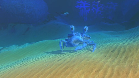 海底大猎杀中文版 螃蟹_螃蟹的海底大猎杀_海底大猎杀螃蟹掉落的法杖