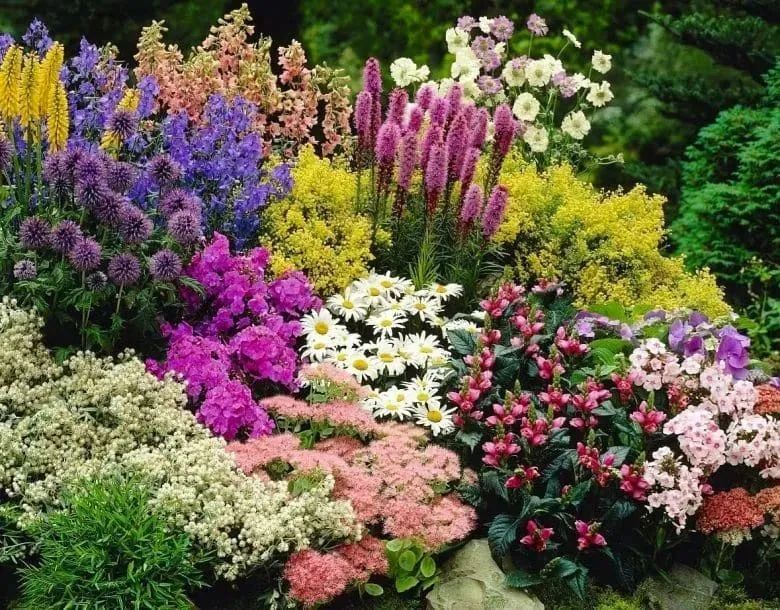 课堂伴侣-花园课堂第三届滨海国际（微）电影节参赛影片盛况