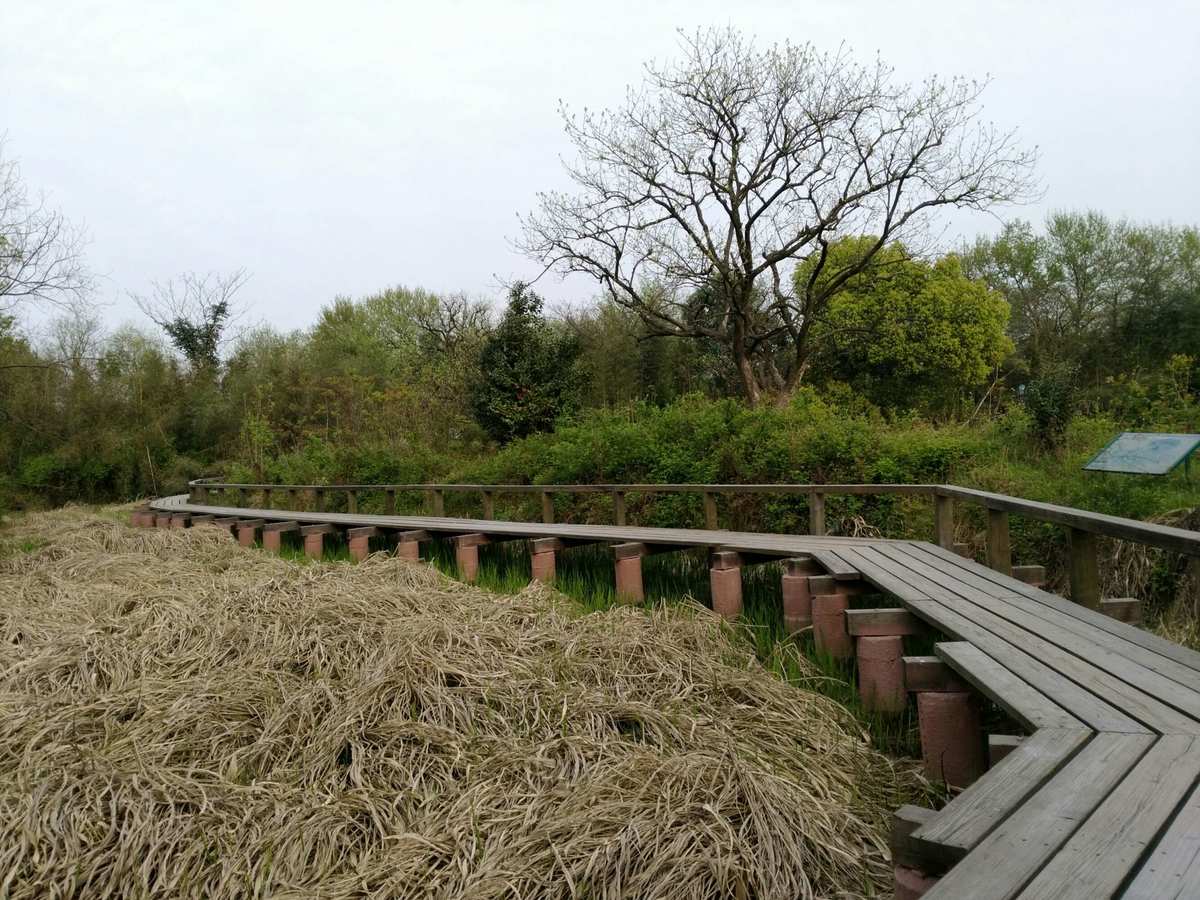 西溪湿地太美农场：生态与美食的完美结合