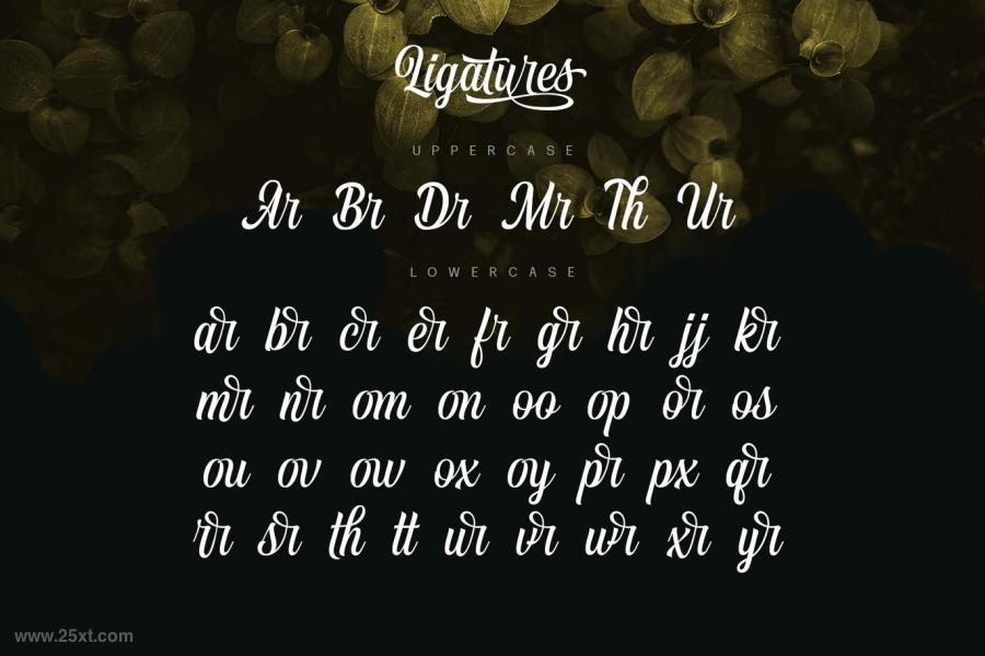 卷曲的英文curly_卷曲的英文_英语卷曲的