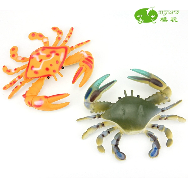 螃蟹生物图_螃蟹 模式生物_螃蟹生态系统