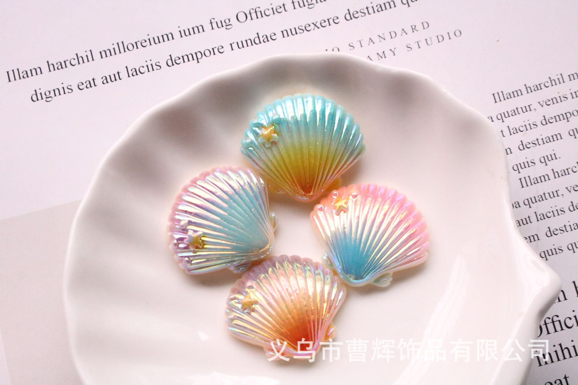 贝壳彩绘图片儿童_贝壳彩绘画_在贝壳上彩绘