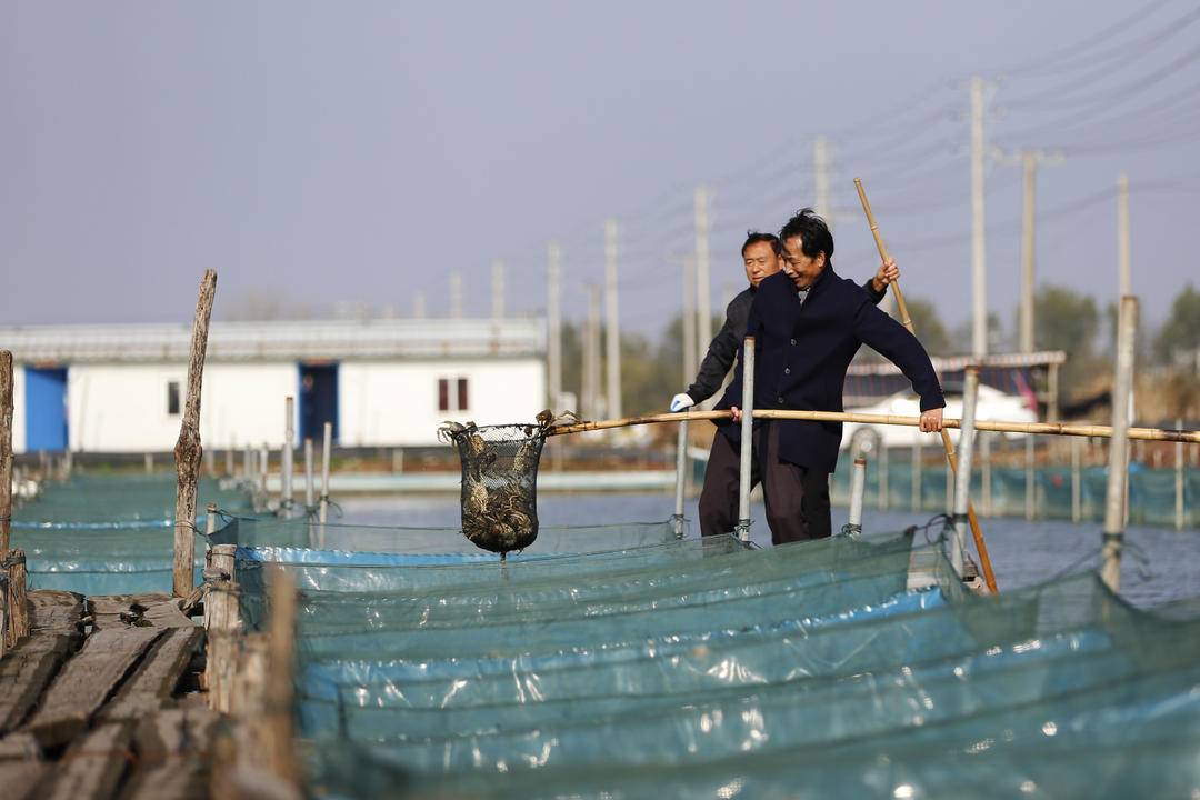 海底大猎杀crab madness是什么模式-海底大猎杀：捕蟹狂欢，挑战极限，谁