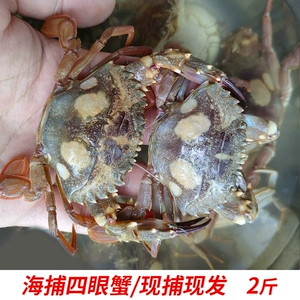 海底大猎杀螃蟹王游戏-海底探险：挑战螃蟹王，生死一线的水下冒
