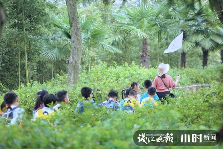 西溪湿地农场_杭州西溪湿地附近农家乐_西溪湿地村落