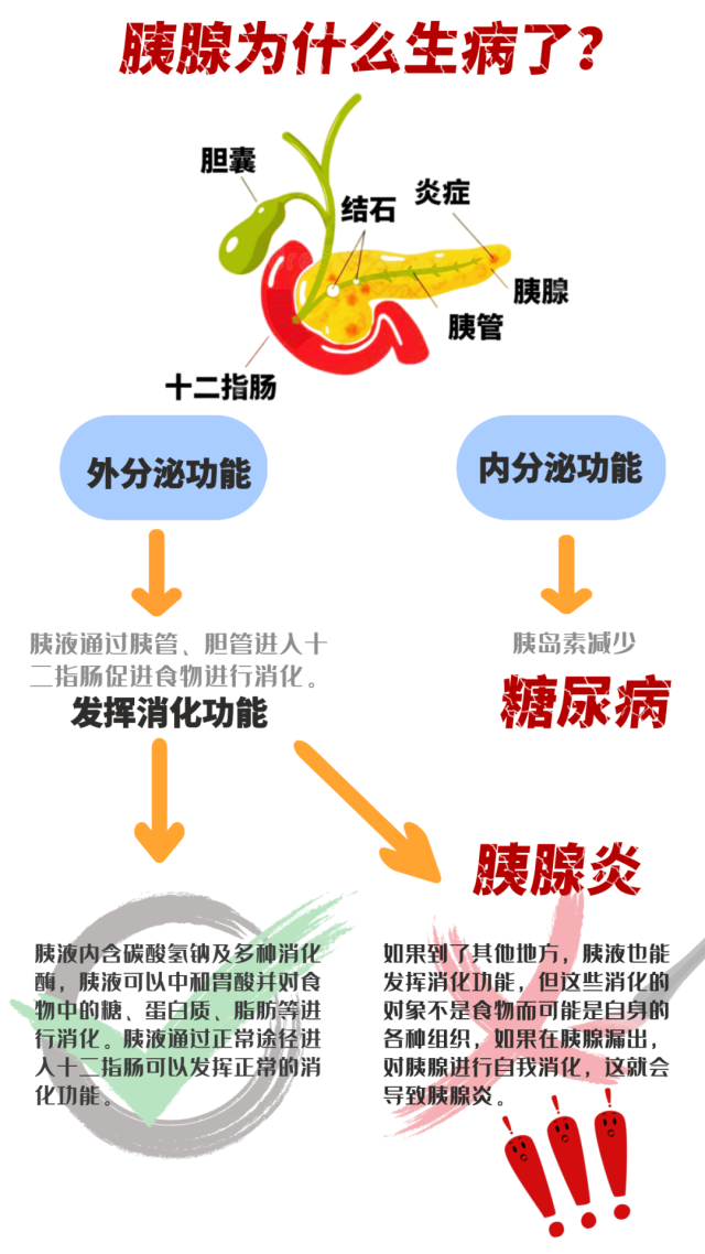 胰腺炎最好的抗生素药是什么_胰腺炎抗生素三联_胰腺炎吃什么抗生素效果好