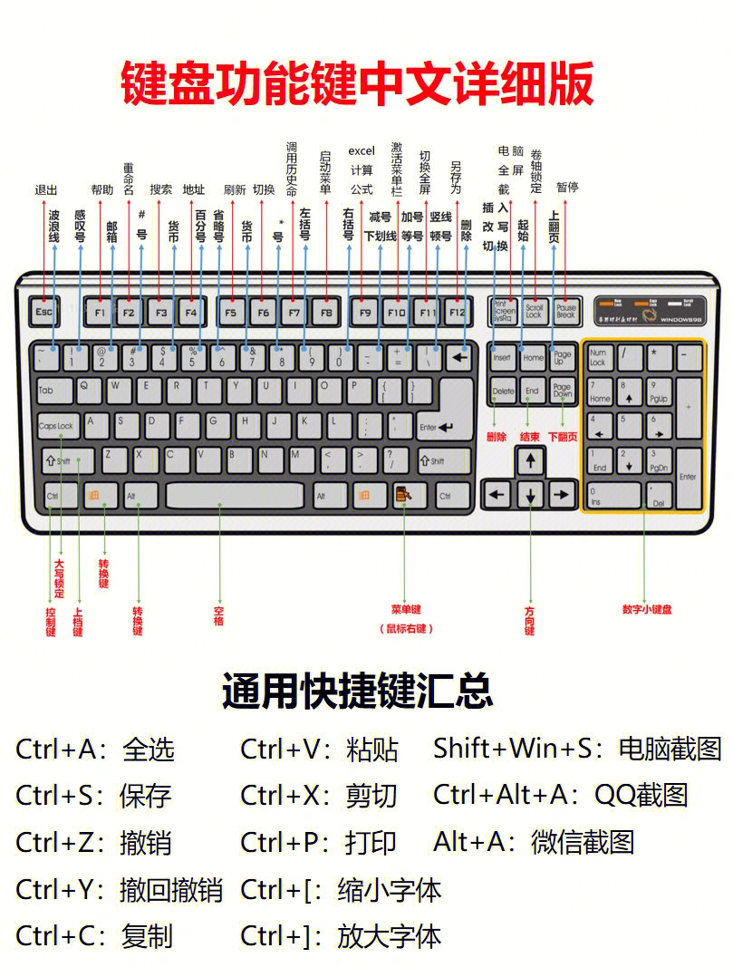 电脑操作-键盘侠必备：速度与精准度，操作系统与软件兼容性大揭