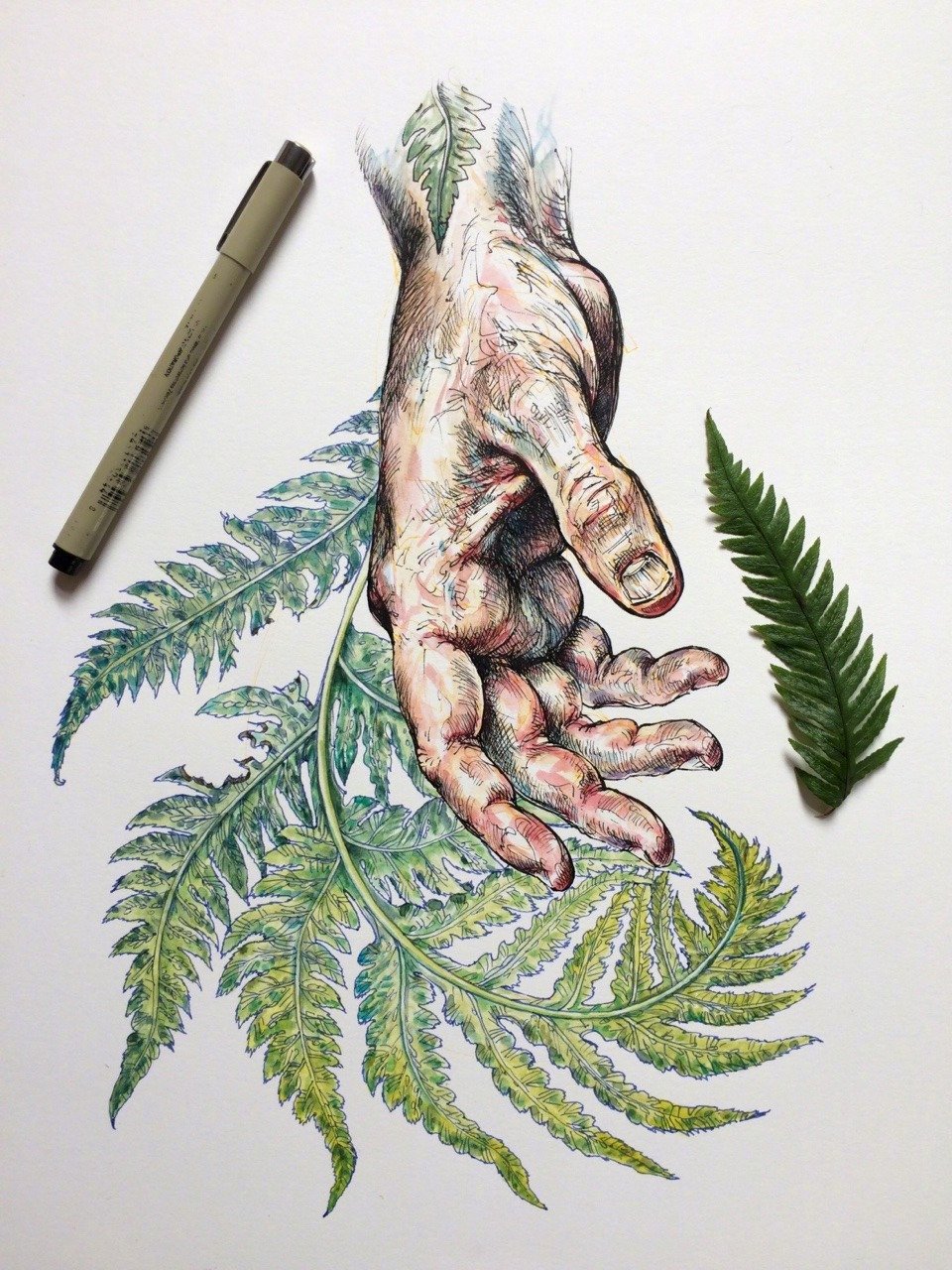 花藤绘画素材_花藤手绘线稿_三联素材 花藤手绘