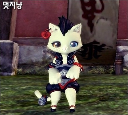 剑灵什么时候e猫_剑灵猫的名字怎么改_剑灵猫整容