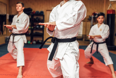 苹果武侠吃鸡手游正版_苹果手游武侠_苹果手机武术游戏