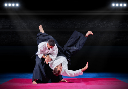 苹果武侠吃鸡手游正版_苹果手机武术游戏_苹果手游武侠