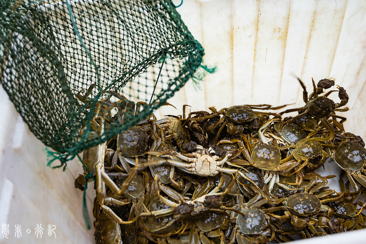 海底大猎杀crab madness是什么模式_底大猎杀海底大猎杀_海底猎杀海