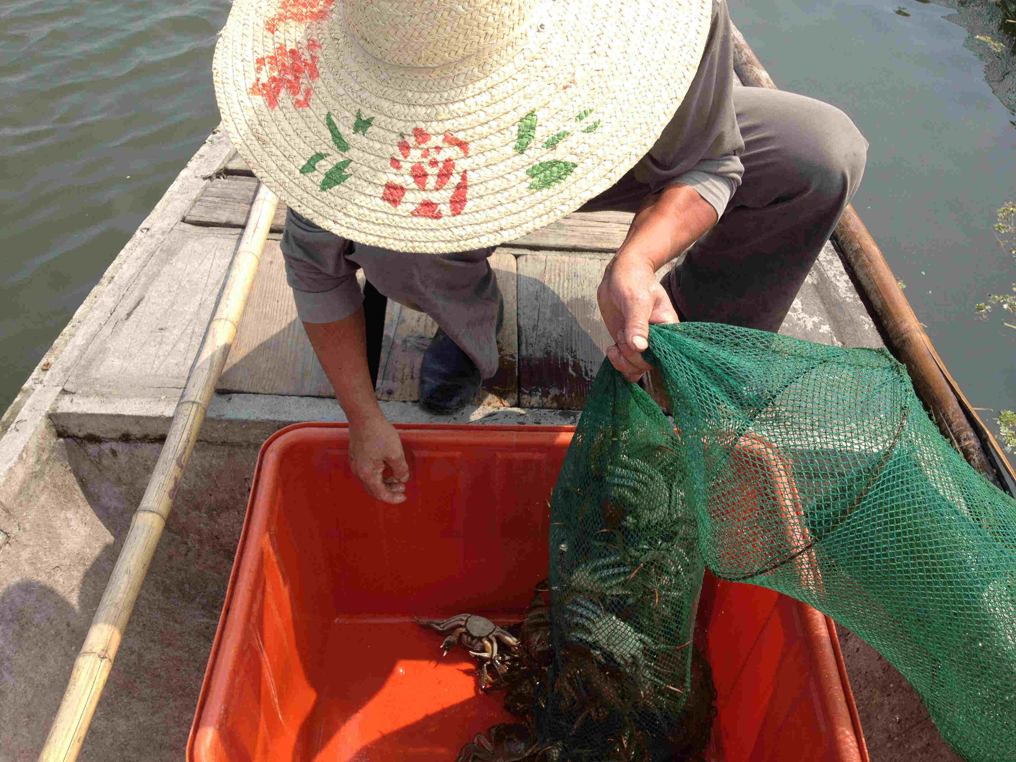 底大猎杀海底大猎杀_海底猎杀海_海底大猎杀crab madness是什么模式