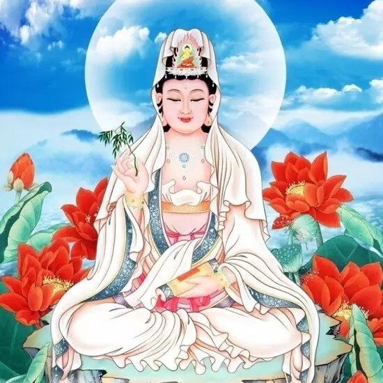 重生西游拜师菩提的小说_重生西游之拜师广成子_重生西游之拜师截教