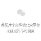 bug怎么读？程序员的烦恼与解脱