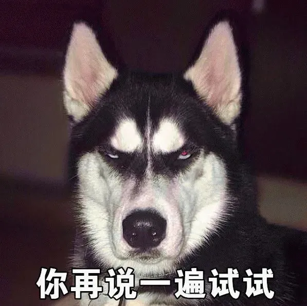 安卓屁屁狗表情包，笑点满满